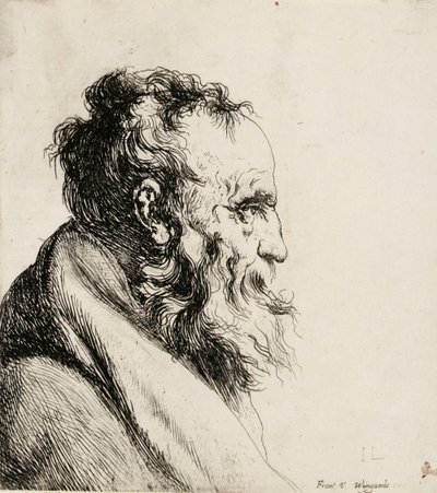  av Jan Lievens