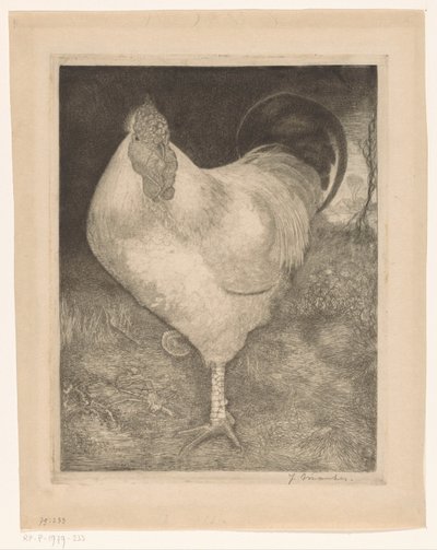 Hane på ett ben av Jan Mankes (signed by artist)