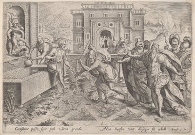 Pesten av gresshopper av Jan Sadeler I, after Maarten van Cleef