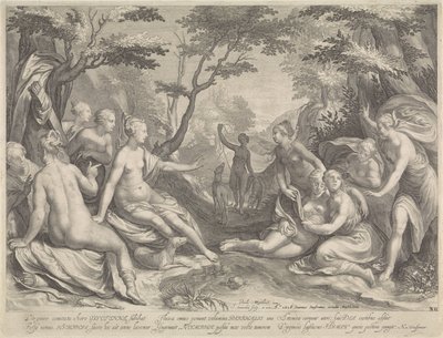 Diana oppdager Callisto .s graviditet av Jan Saenredam