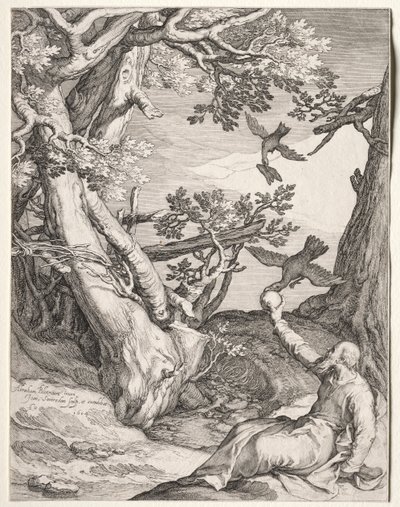 Elijah i villmarken matet av ravner av Jan Saenredam