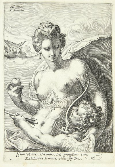 Venus og Amor av Jan Saenredam
