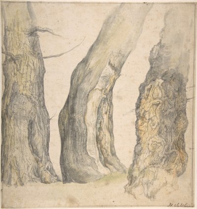 Studie av tre gamle knudrete trær, 1660. av Jan Siberechts