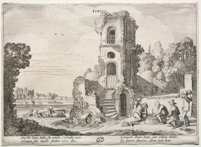De tolv månedene: juni. av Jan Van de Velde