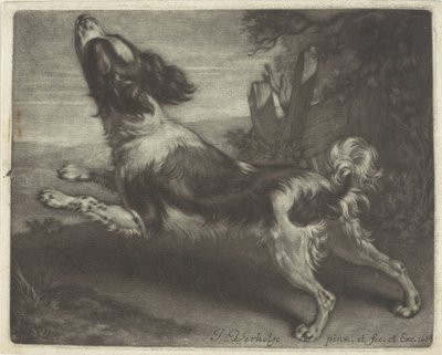 Løpende hund, muligens en spaniel av Jan Verkolje (I)