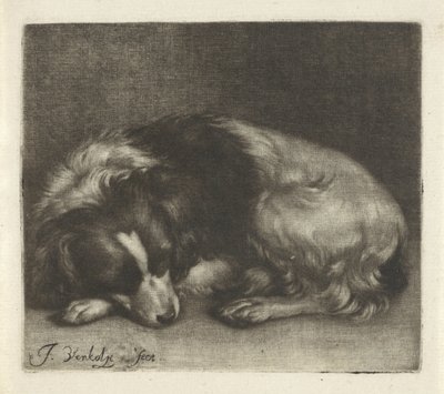 Sovende hund, muligens en spaniel av Jan Verkolje (I)