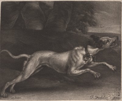 En løpende hund av Jan Verkolje