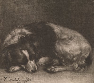 En sovende hund av Jan Verkolje