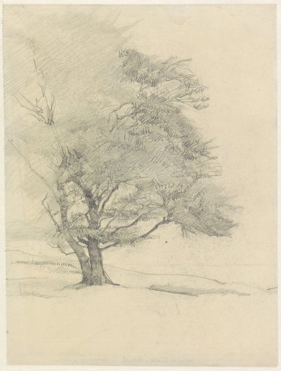  av Jan Veth