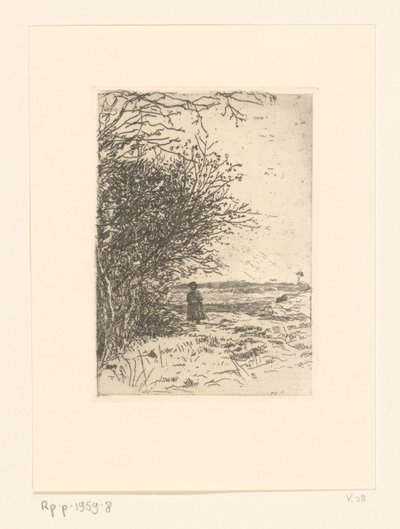 Woman in a Landscape Woman on the Heath (original tittel) av Jan Veth