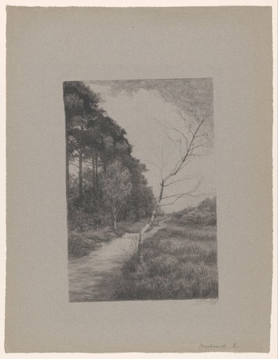  av Jan Veth
