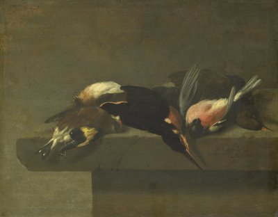 Døde fugler av Jan Vonck