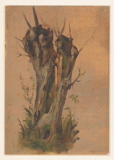 pollard selje av Jan Weissenbruch