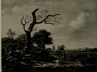  av Jan Wijnants