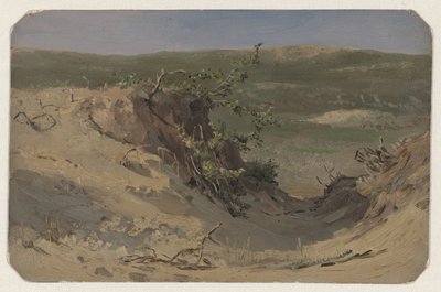 DUI Nirvana av Jan Willem van Borselen