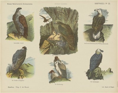 Birds of Prey (tittel på objekt) Nye nederlandske barnetrykk (serietittel på objekt) Funkes trykk (serietittel på objekt) av Jan de Haan
