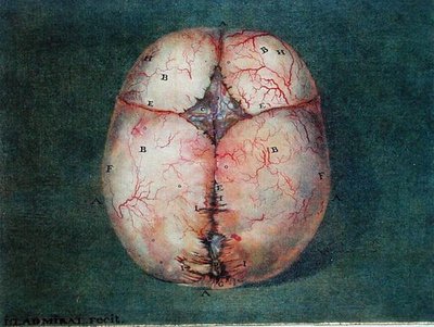 The Brain, fra 