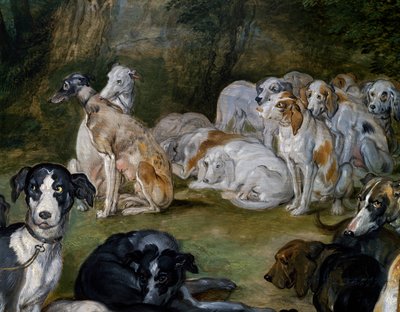 Hunder, detalj fra Diana og Nymphs på tidspunktet for å forlate av Jan the Elder Brueghel
