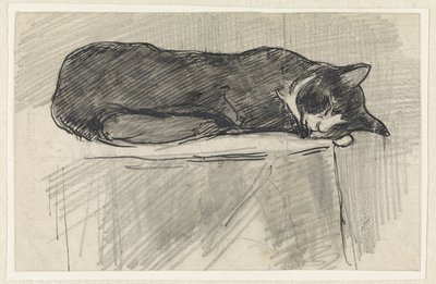 sovende katt av Jan van Essen