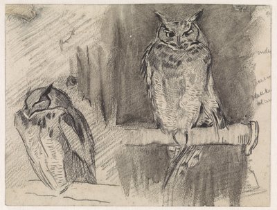 To studier av en ugle av Jan van Essen