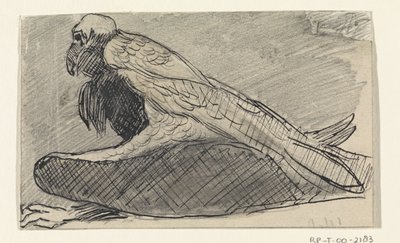Sittende gribb av Jan van Essen