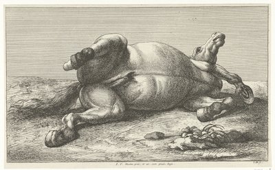 Død hest liggende på venstre side Dead Horses (serietittel) av Jan van Huchtenburg
