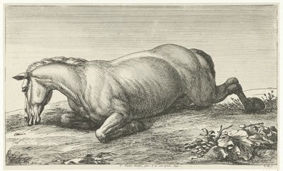 Fallen Horse liggende på magen Fallen Horses (serietittel) av Jan van Huchtenburg