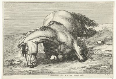 Død hest liggende på høyre side Dead Horses (serietittel) av Jan van Huchtenburg