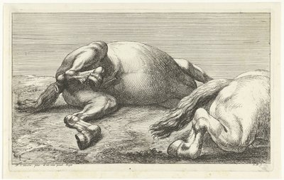 To falne hester, den høyre sett fra siden Dead Horses (serietittel) av Jan van Huchtenburg