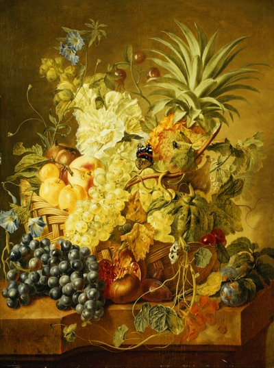 Plommer, en fersken, druer, en melon, en ananas, en fiken, rips, kirsebær og blomster i en kurv, og druer, et granateple, plommer og en fiken, med sommerfugler på en steinhylle av Jan van Huysum