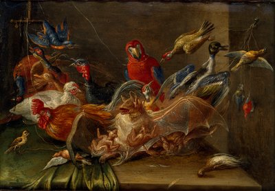 Dekorativ stillebenkomposisjon med fugler og to flaggermus, midten av 1600-tallet av Jan van Kessel