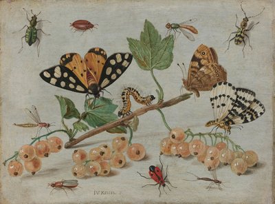 Insekter og frukt, ca. 1660-5 (olje på kobber) av Jan van Kessel the Elder