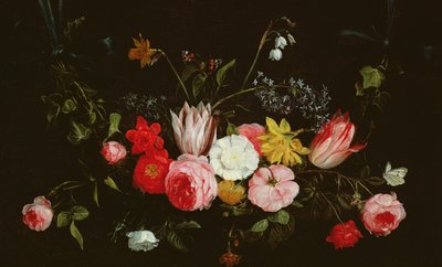 Ukjent bilde av Jan van Kessel