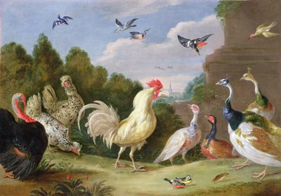 Skoglandskap med en hane, kalkun, høner og andre fugler, 1600-tallet av Jan van Kessel the Elder