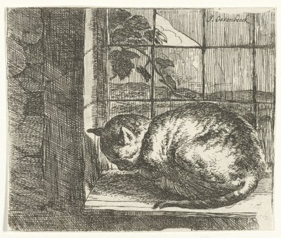 Katt i vinduskarmen av Jan van Ossenbeeck