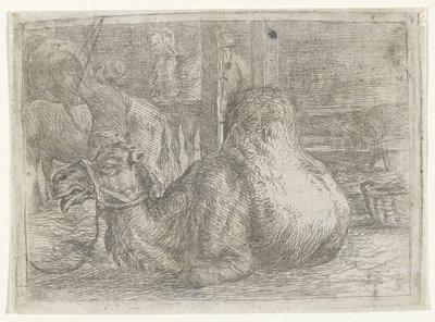 Liggende kamel av Jan van Ossenbeeck