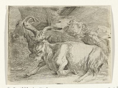 To geiter og to sauer av Jan van Ossenbeeck