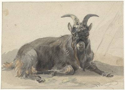 Liggende svart geit av Jan van Ravenswaay