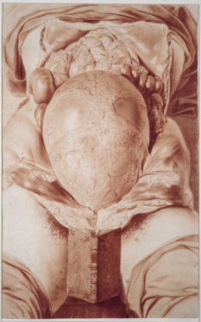 MS Hunter 658 Plate XXVI Tegning fra William Hunters (1718-83) 'Anatomy of the Human Gravid Uterus', 1774 (kritt på papir) av Jan van Rymsdyk