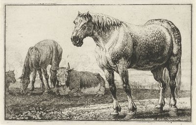 Pferde und Kühe (Tiere) (Zoographiam) von Jan van den Hecke