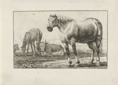 Hester og kyr Dyr (serietittel) Zoography (serietittel) av Jan van den Hecke