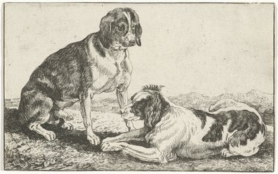 To hvilende hunder Dyr (serietittel) Zoography (serietittel) av Jan van den Hecke
