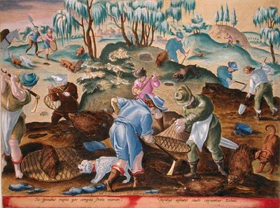 Grave ut og fange piggsvin, plate 54 
