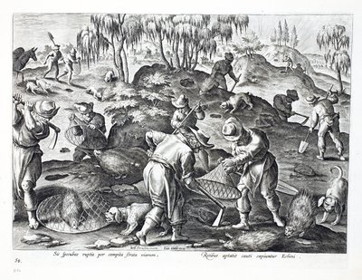 Grave ut og fange piggsvin, plate 54, illustrasjon fra 
