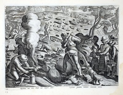 Jaktkaniner, illustrasjon fra 