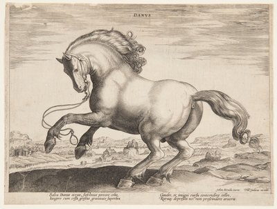 En dansk hest, fra det fjerde settet av "Equile Joannis Austriaci" av Jan van der Straet, called Stradanus