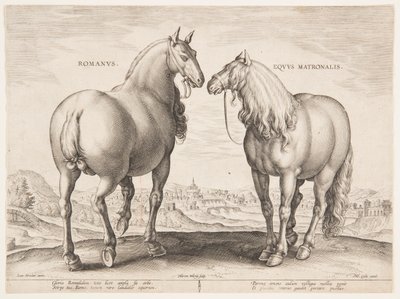 En romersk hest, fra det første settet av "Equile Joannis Austriaci" av Jan van der Straet, called Stradanus