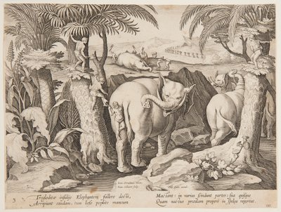 Cavemen Chasing Elephants, plate 3 fra Hunting of Wild Animals, Birds and Fish-serien av Jan van der Straet, called Stradanus