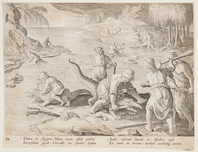 Krokodillejakt i Tentyra, i Egypt, tallerken 30 fra Hunts of Wild Animals, Birds and Fish-serien av Jan van der Straet, called Stradanus