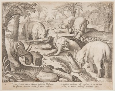 Elefanter som holder hverandre ut av en felle, tallerken 1 fra Game of Animals, Birds and Fish-serien av Jan van der Straet, called Stradanus